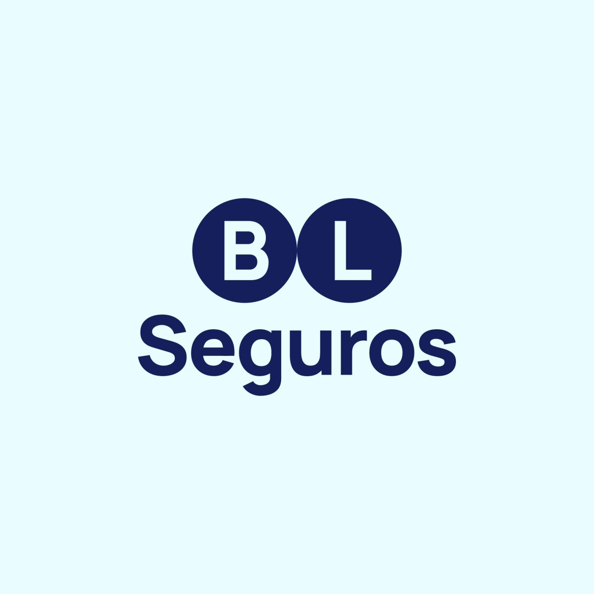 logo BL Seguros & Serviços